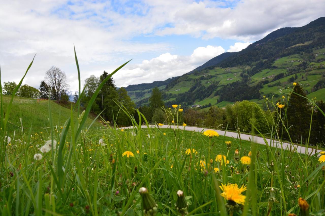 Niederstallnhof Sankt Johann im Pongau Eksteriør bilde